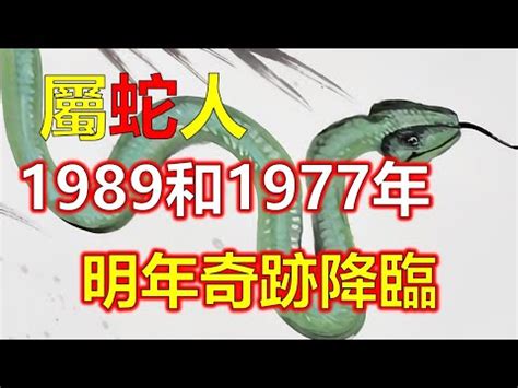 1989屬蛇2023運勢